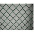 Qym-Plastic Coated Chain Link Fence